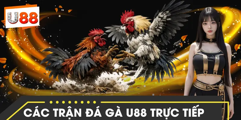 da-ga-u88-bo-mon